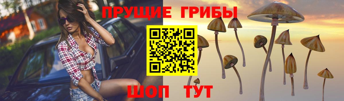 Архангельск  Галлюциногенные грибы мухоморы  Псилоцибиновые грибы GOLDEN TEACHER  Вход с VPN 